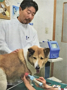 腫瘍の半導体治療